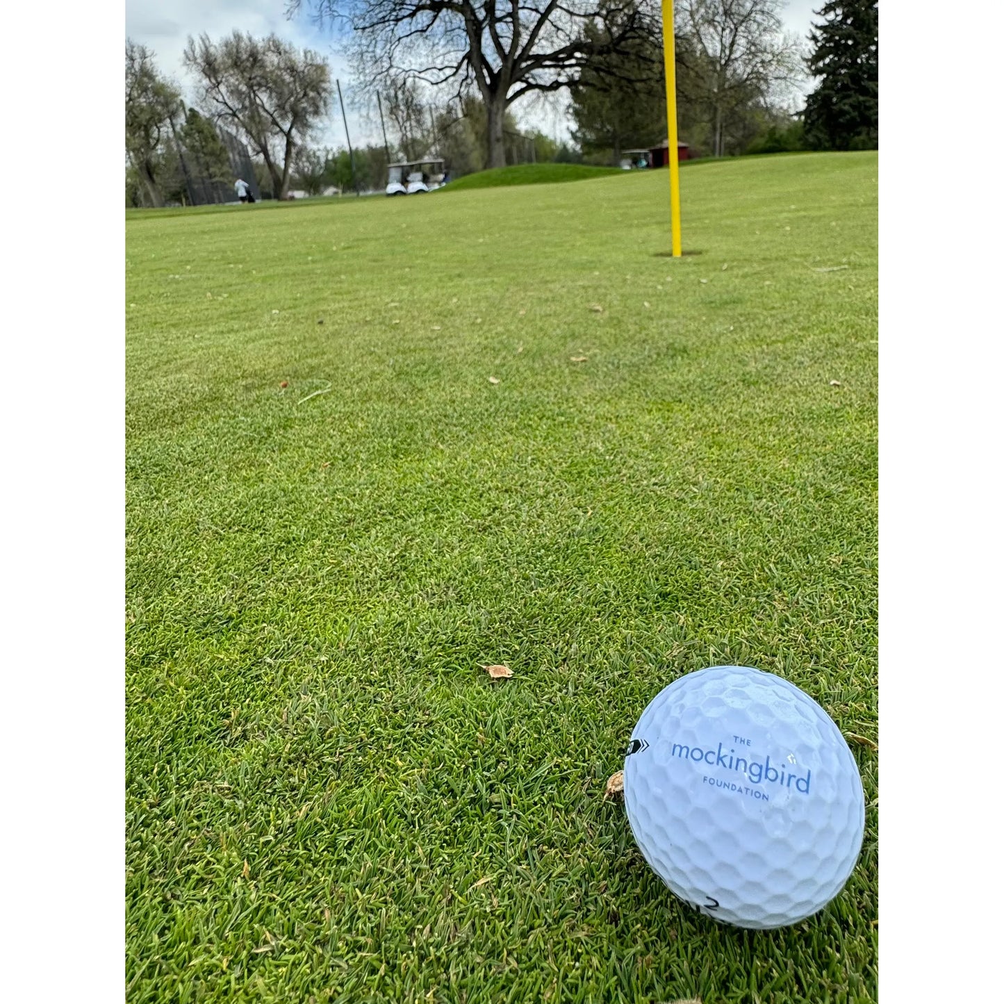 Mockingbird Foundation Callaway Golf Balls - 3 pack